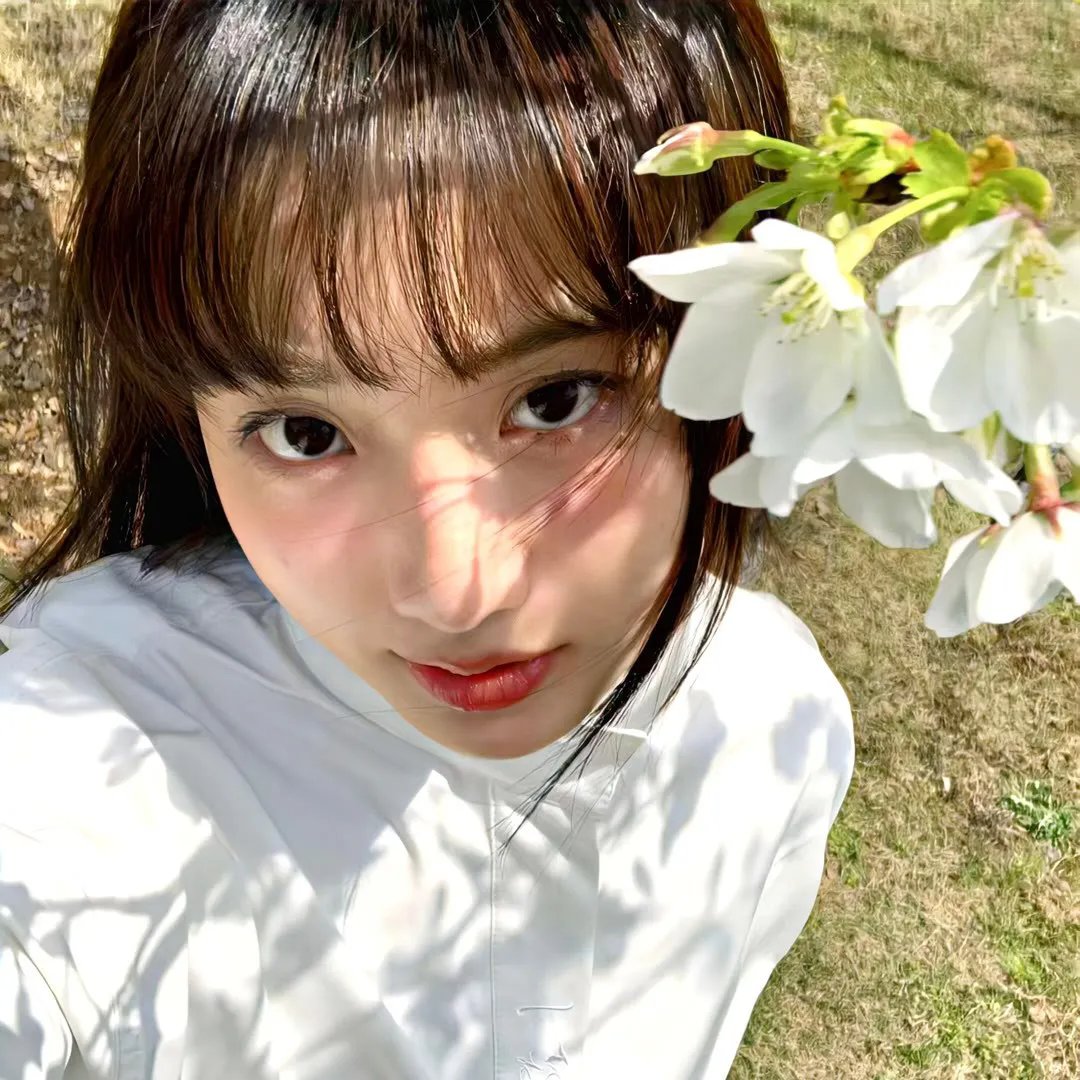 花开总有时